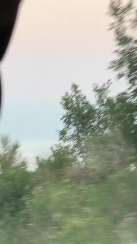 This media file captures a view from a moving vehicle, likely a car, in Ivanovići, Montenegro. The primary subjects are the blurred green foliage of trees and bushes passing by the window, and the sky, which appears pale blue with hints of white, suggesting daylight. The motion blur indicates a speed of travel, creating a dynamic sense of movement.

In the foreground, a portion of the vehicle's interior is visible on the left. This includes a black object, possibly a rear-view mirror or part of the dashboard, reflecting a faint, colored light display. The scene is set outdoors, with the natural landscape of trees and sky dominating the view.

The activity is a journey through a rural or semi-rural area, with glimpses of what might be a residential building with a reddish roof in the distance towards the right of the frame. The time of day is indeterminate but seems to be during daylight hours. The weather appears fair and clear. There are no people or discernible emotions visible due to the motion and focus. No legible text is apparent in the media. The overall impression is one of travel and observation of the passing scenery.
