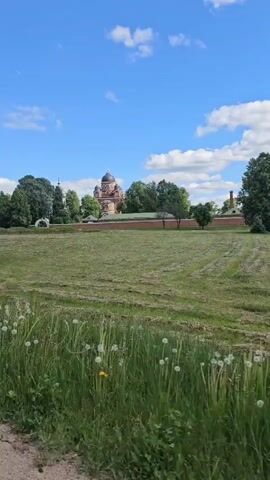 The video shows an outdoor scene on a sunny day. A building with a dome is visible in the background, behind a green field and a brick wall. Dandelions are in the foreground. The camera moves to the right, revealing a large tree with green leaves. The blue sky is visible above, with a few white clouds. The setting appears to be a park or a similar outdoor area, possibly near a historic or religious site.