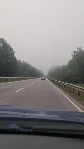 A first-person perspective video shows a car driving on a highway surrounded by trees. The sky is heavily overcast with fog, obscuring the horizon. The road has multiple lanes with a guardrail on the right side. Several other cars are visible ahead, also driving in the fog. The interior of the car, including the dashboard, is partially visible in the foreground. The overall atmosphere is hazy and muted due to the weather conditions.