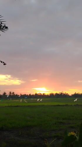 Baratpayaitek, Indonesia