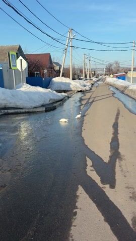 The video shows two white doves in a street partially flooded with melted snow. The street is lined with snowbanks on both sides and power lines overhead. The doves are initially near the curb, with one in the water and the other on the asphalt. They then take flight, flying upwards and over a nearby house with a metal roof, chimney, and fence, eventually flying out of view. The sky is clear and blue.