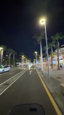 The video shows a nighttime view of a street lined with palm trees. The street is paved and has white lane markings and a yellow border. There are streetlights illuminating the scene, and some businesses with illuminated signs are visible on the right side of the street. Cars and pedestrians are present, and the video appears to be shot from a moving vehicle. There are also crosswalks visible.