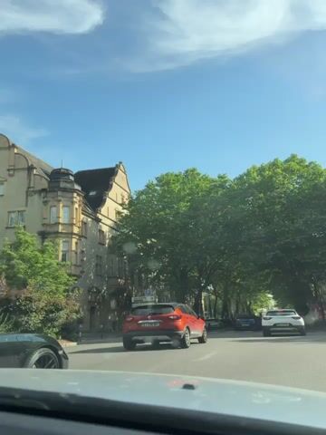 The scene shows a view from inside a car driving down a European-style street.  The sky is bright blue with some clouds. There is a row of mature, lush green trees lining both sides of the street, creating a canopy effect.  On the left side of the road is an elaborate, older building with decorative windows.  The road has several cars in front, including an orange Renault Captur and a white KIA. The camera is likely mounted on the dashboard of the car.  There is a hint of dust on the dashboard.