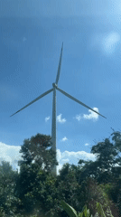 Wind turbine among tropical vegetation in Vietnam