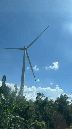 Wind turbine among tropical vegetation in Vietnam