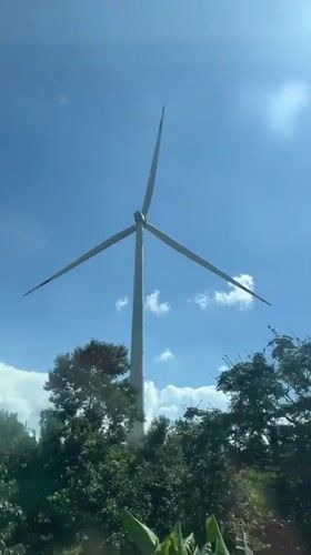 Wind turbine among tropical vegetation in Vietnam