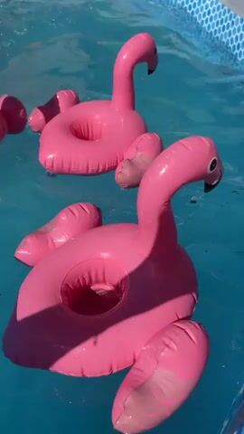 The video shows three inflatable pink flamingos floating in a blue swimming pool. The flamingos are positioned at different angles and distances from the camera, with the closest one in the foreground being the largest and most detailed. The water is clear, and sunlight is reflecting off the surface, creating bright highlights. The pool appears to be an above-ground pool, with a patterned blue and white liner visible along the edge. The overall impression is one of a summer day and a recreational activity.