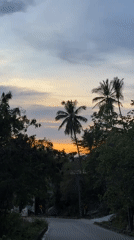 Sunset sky captured through palm trees in Thailand