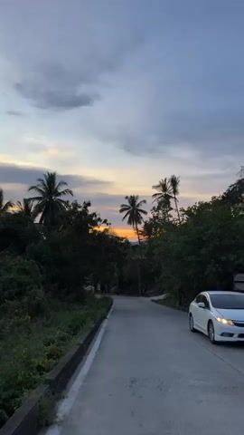 The camera moves upwards along a paved road framed by lush green vegetation, focusing on a sunset sky visible through the silhouettes of several tall palm trees. The sky displays a gradient of colors, with orange and yellow hues closest to the horizon, transitioning into shades of blue and grey higher up. A utility pole and street lamp are visible among the foliage. The road is light grey, and the vegetation on either side is dense and dark green.