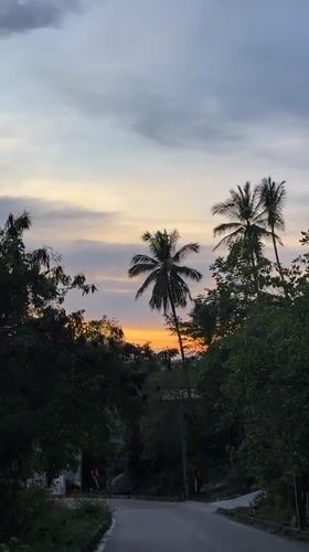 Sunset sky captured through palm trees in Thailand