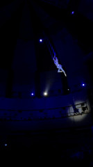 Circus performers entertain audiences at Moscow theater show