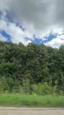 The video shows a view from a moving vehicle traveling on a paved road. On the right side of the road, there is a dense line of trees and green foliage. The sky above is partially cloudy with patches of blue sky visible. The scenery is rural with fields and more trees visible in the distance. The video pans across the landscape as the vehicle continues to move.