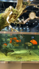 Morning tour through Seoul's recreational spaces and attractions documented