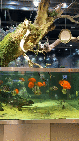 Morning tour through Seoul's recreational spaces and attractions documented