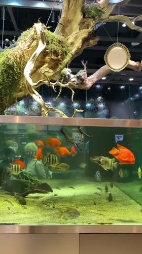 Morning tour through Seoul's recreational spaces and attractions documented