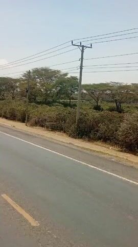The video shows a landscape with a road. The road is gray with a yellow line painted on the side. On the right side of the road, there is an unpaved shoulder. Beyond the shoulder is dense vegetation of bushes and trees with a few utility poles. There are power lines strung between the poles. The sky is pale blue, indicating daylight. A person walks down the dirt area to the right of the road.
