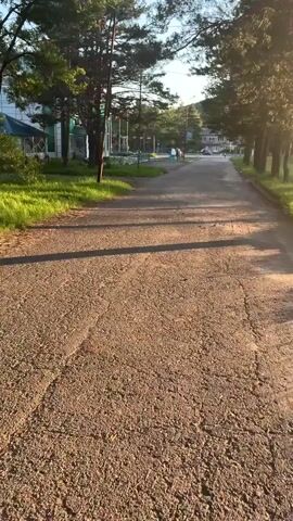 The video shows a scenic view of a tree-lined road in Gornye Kljuchi, Russia. The sun is setting, casting long shadows across the road and illuminating the trees with a warm, golden light. The road appears to be made of gravel or dirt, with some cracks and wear visible. On the left side of the road, there's a grassy area with some buildings in the background, one of which appears to be a light-colored structure with a green roof. There are a few trees and some greenery along the side of the road. On the right side, a line of tall trees creates a natural canopy. In the distance, more buildings and trees are visible, suggesting a residential or park-like area. There are a couple of indistinct figures walking in the distance, and a car parked further down the road. The overall mood is peaceful and serene, with the soft evening light contributing to a tranquil atmosphere. No text is visible in the video.