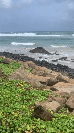 Cloudy morning along the rocky Sri Lankan coastline