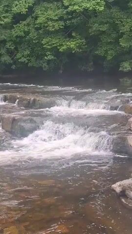 A video shows a close-up of a waterfall with lush green trees in the background. The water is flowing over rocks, creating white foam and ripples. The sun is shining, casting a light on the water.
