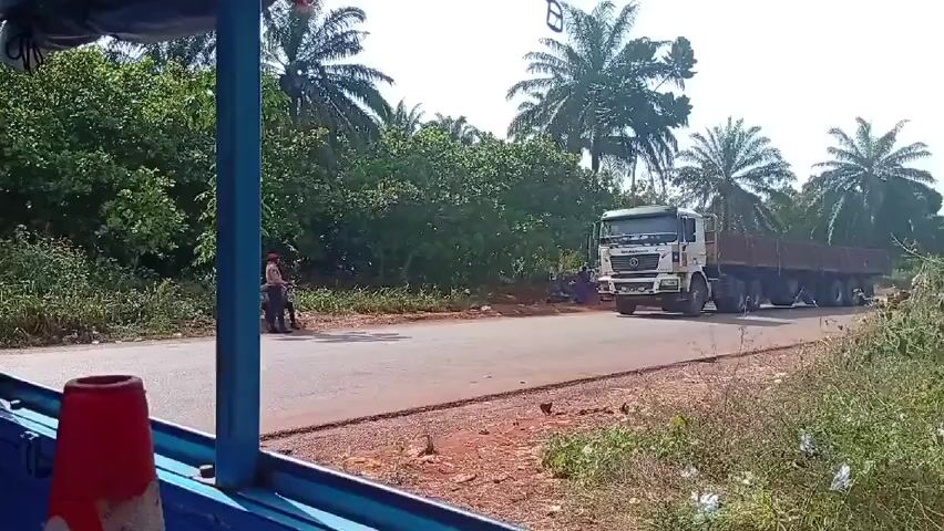 From inside a moving vehicle, a long, white truck is seen driving on a paved road, passing two people walking on the side. The truck has a long, brown metal trailer. Palm trees and greenery line both sides of the road. The sky is bright, suggesting a sunny day.  The vehicle from which the video is recorded has a blue frame.  A red object is visible near the frame.