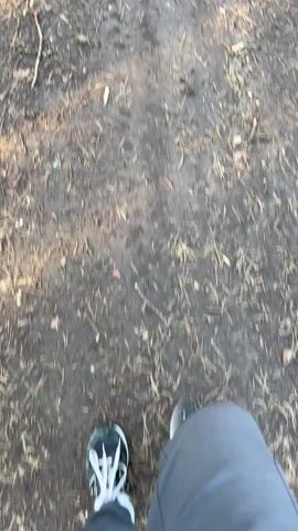 The video starts with a close-up of a person walking on a dirt path. The person is wearing gray pants and white running shoes with blue details. As the camera moves forward, it rises slightly, revealing a dirt path covered with fallen leaves and sticks. The path is surrounded by bare trees, with sunlight filtering through the branches, creating shadows on the ground. The scene is a forest trail, likely in early spring or late fall. There are no other people or objects visible besides the path, trees, and ground debris. The video appears to be shot from a first-person perspective.