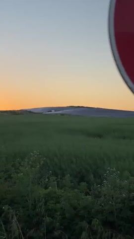 The video shows a field of green grass being crossed by a vehicle. There is a hill or mound visible in the distance on the horizon, and the sky is an orange-yellow from the setting sun. As the vehicle moves forward, the field and the view of the setting sun are seen between a few trees and bushes that are on the side of the road.