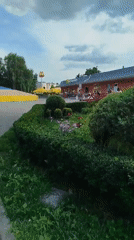 Close-up tour of flowers, webs, and greenery in Kremenchuk