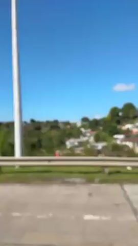 The video is shot from a moving car, showing the view from the passenger side. A grey road is visible in the foreground, separated from a field by a white guardrail. Beyond the guardrail, there is lush green vegetation, including tall grasses and various trees. Occasionally, buildings can be seen through the foliage. The sky is a clear blue with a few small clouds. Electric power lines and poles are also visible against the sky.