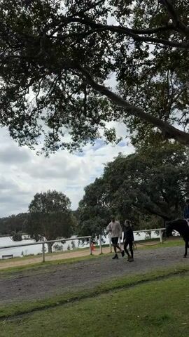 A video shows a man and a woman walking on a dirt path next to a body of water. The path is bordered by a white fence and grass. Trees with green leaves are visible in the background, and the sky is cloudy. The man is wearing a gray t-shirt and black shorts, and the woman is wearing a black t-shirt and black shorts. They are walking side by side, and appear to be conversing.