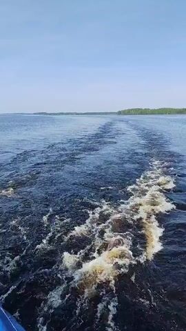 The video shows the wake of a boat traveling on a body of water. The water is dark blue, and the wake is foamy and white. In the distance, there is a strip of land with green trees. The sky is light blue and clear. The camera is positioned at the back of the boat, looking towards the rear. There are no people visible in the video.