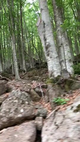 This is a first-person perspective video of a walk through a dense, lush green forest in Abbadia San Salvatore, Italy. The camera is moving, suggesting the person is walking or hiking. The forest floor is covered in fallen leaves and scattered rocks, with larger boulders visible in the foreground and scattered throughout the scene. Tall, slender trees with pale bark dominate the landscape, their leaves creating a vibrant green canopy overhead. The dappled sunlight filtering through the leaves suggests it is daytime, likely late morning or early afternoon. The overall atmosphere is serene and natural, evoking a sense of peace and immersion in nature. No people, objects, or text are clearly visible.
