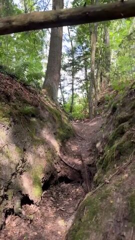 The video begins with a wide shot of a narrow, eroded pathway winding through a wooded area. The path is surrounded by steep, dirt banks covered in moss and vegetation. Sunlight filters through the trees, dappling the ground. The camera then pans down to a closer view of the path, revealing loose dirt, fallen leaves, and scattered twigs. A large tree trunk is visible on the left bank. As the video progresses, the camera moves along the path, showing more of the natural terrain. There are no people visible in the video, and no specific actions or interactions are depicted. The environment is a natural, wooded area with evidence of erosion.
