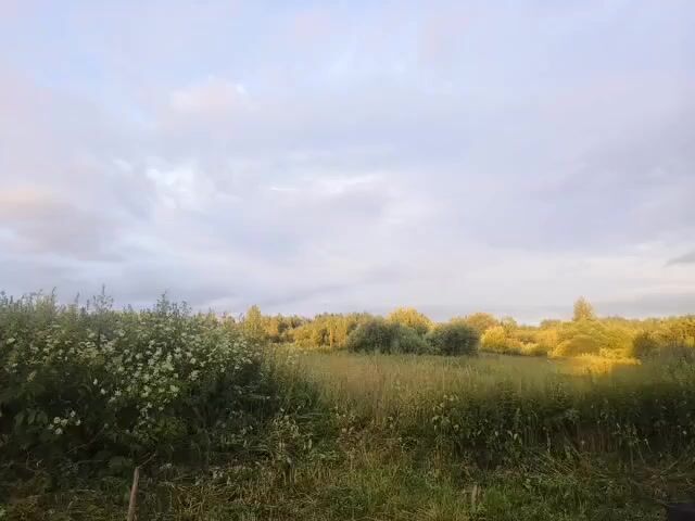 The video shows a time-lapse of an outdoor scene. The sky is cloudy with some patches of blue. In the foreground, there is a field of tall green grass and some bushes. In the background, there is a forest of trees. The light changes over time, suggesting that the video was recorded over a period of several hours, likely during sunrise or sunset. No people or animals are visible in the video.