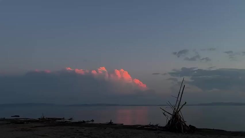This is a static wide shot of a sunset over a body of water. The sky is a deep blue, with some scattered clouds. One large cloud formation in the center of the frame is illuminated by the setting sun, giving it a vibrant pink and orange hue. In the foreground, there is a dark, sandy beach littered with driftwood and debris. A few thin, skeletal branches rise from the beach on the right side of the frame, creating a stark silhouette against the sky. The water is calm, reflecting the colors of the sunset. The overall mood is peaceful and serene.
