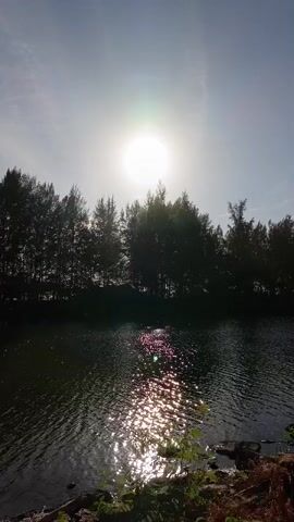 A vertical video displays a silhouetted treeline against a bright sky. The sun is prominently visible in the upper center of the frame, appearing as a white circle with a lens flare. The treeline, composed of tall, thin trees, stretches horizontally across the middle of the image. Below the treeline, a body of dark water occupies the lower half of the frame. Sunlight reflects off the surface of the water, creating shimmering patterns of light. The foreground shows the edge of the water with some vegetation and rocks. The scene appears to be outdoors, likely in a natural setting with a body of water and trees. There are no people or distinct actions visible.