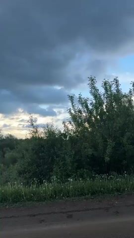 The video shows a rural landscape at dusk. A dirt road stretches into the distance, bordered by green vegetation, including dandelions along the edges. The sky is overcast with dark, heavy clouds tinged with blue and yellow from the setting sun.  The camera pans upwards to show more of the sky and the receding road. There are no people or animals visible. The scene is still and quiet.
