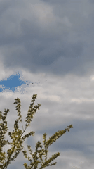 Spring nature walk documented in Taganrog, Russia