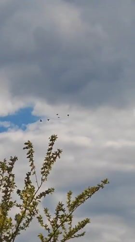 Spring nature walk documented in Taganrog, Russia