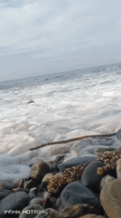 Overcast evening on a rocky Venezuelan shoreline