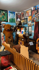 Child explores teddy bear museum in Ustroń, Poland