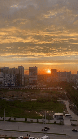 Sunset views and domestic cat moments captured in Yekaterinburg