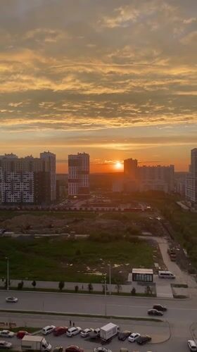 Sunset views and domestic cat moments captured in Yekaterinburg