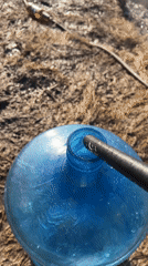 Water collection documented along sunny Chaikovsky riverbank