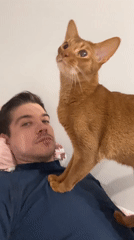Man and ginger cat share quiet moment in Kazan