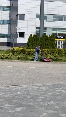 A man is seen mowing the grass next to a curb on a sunny day. The man is wearing a blue shirt, jeans, and a hat. He is pushing a red lawnmower along the edge of a grassy area with some bushes. Behind the grass and the man, there is a large, modern building with many windows. A sign that says "VIP зал" in Cyrillic (likely Russian or Ukrainian) is visible on the building. The foreground of the video shows a paved area with a gray brick pattern.