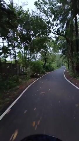 The video shows a first-person perspective of someone moving along a paved road. The road is dark gray with white lines marking the edges. Trees and other dense green vegetation line both sides of the road, creating a tunnel-like effect. The sky is overcast and the lighting is somewhat dim. The trees on either side are a mix of leafy trees and what appear to be palm trees.  The camera is slightly shaky.  The view is from the front of a vehicle, though the vehicle is not entirely visible.