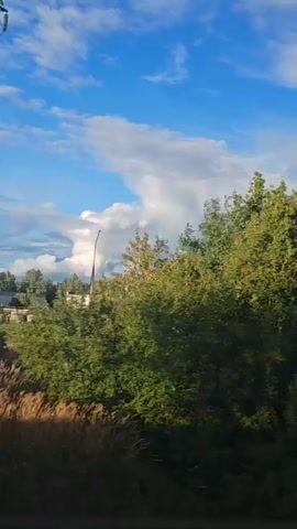 The video shows a view from a moving vehicle. The scene outside is dominated by lush green trees under a bright blue sky with scattered white clouds. In the distance, there are hints of rural structures, including what appears to be a greenhouse and possibly some smaller buildings nestled amongst the trees. The perspective suggests a landscape that is either hilly or the vehicle is on an elevated road, as the trees and structures seem to be on a slope. The interior of the vehicle is visible in the latter part of the video, showing a window frame and a part of the vehicle's interior, indicating the point of view.