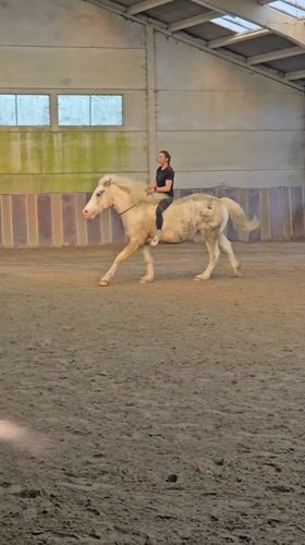 Woman sits with resting horse in Belgian equestrian arena