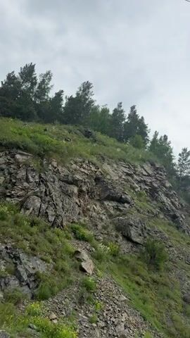 The video shows a rocky, overgrown hillside under a cloudy sky. Trees line the top of the hill. In the first few seconds, a white sign with red lettering and a red diagonal line through it is visible on the left side of the screen, partially obscured by foliage. The camera pans across the scene.