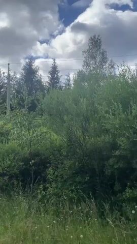 This is a video of a landscape with trees and vegetation. The camera appears to be moving, possibly from a vehicle, as the scenery shifts. The vegetation consists of various shades of green, with some taller trees in the background and shorter bushes and grass in the foreground. The sky above has some clouds, indicating it is daytime. There are no people or specific objects of interest visible besides the natural environment.
